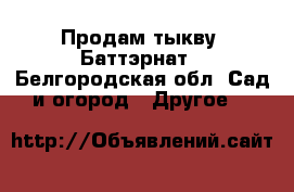 Продам тыкву  Баттэрнат - Белгородская обл. Сад и огород » Другое   